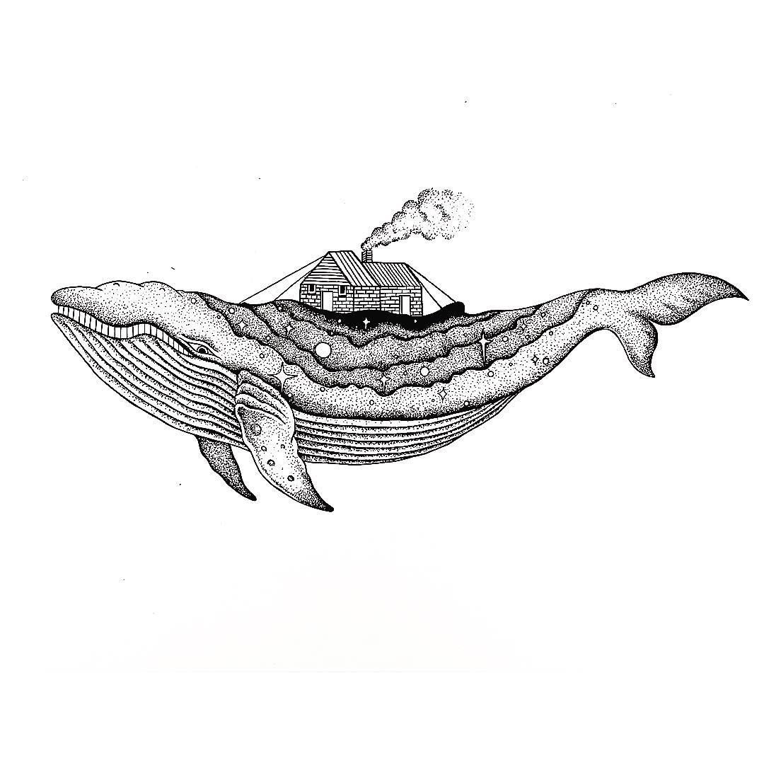 Эскизы китов