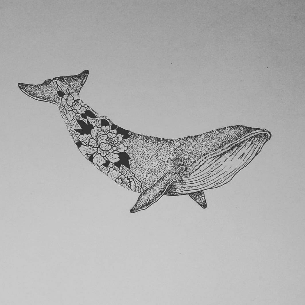 Лайнворк эскизы кит