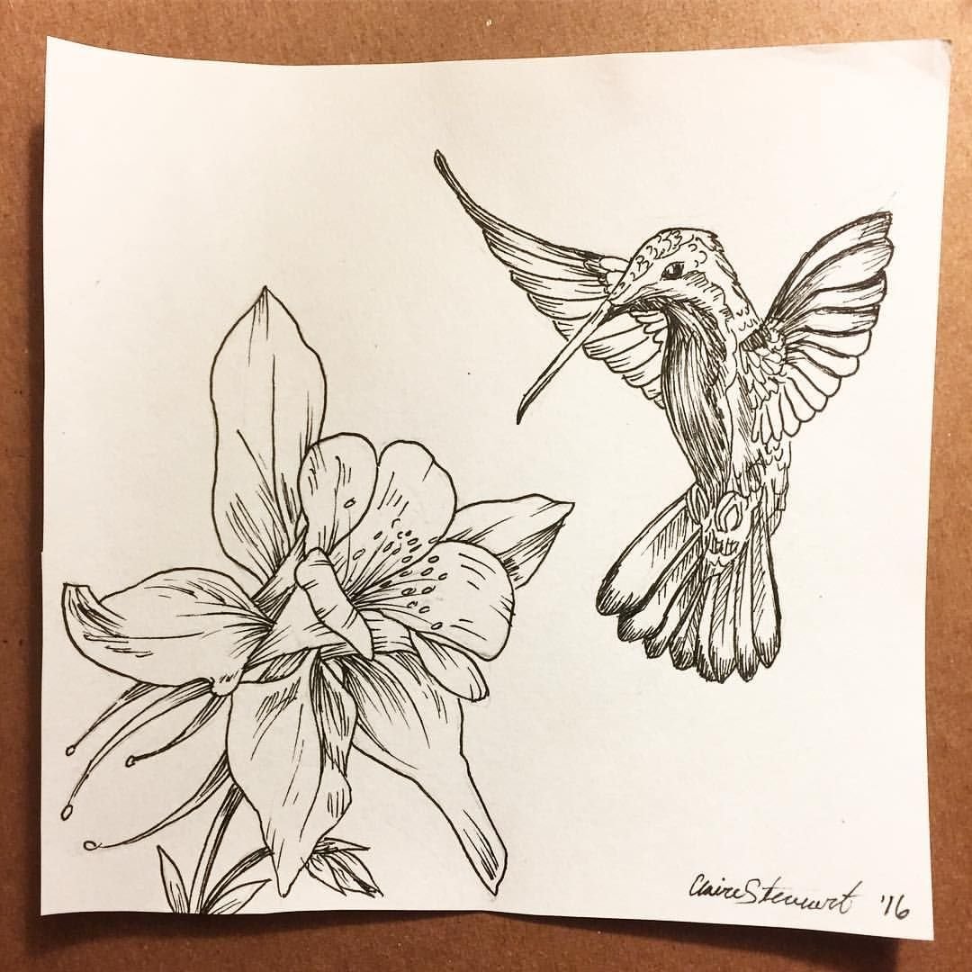 Колибри с цветком эскиз