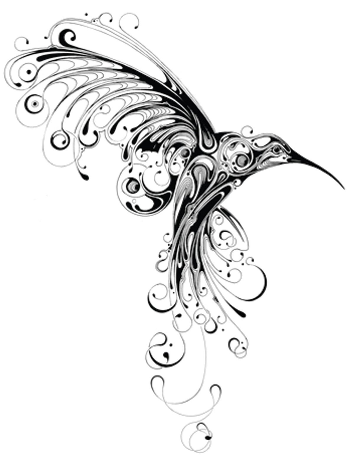 Эскиз птицы с красивыми перьями эскизы черно белый