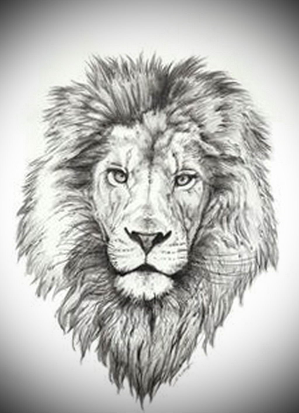 фото эскизы льва