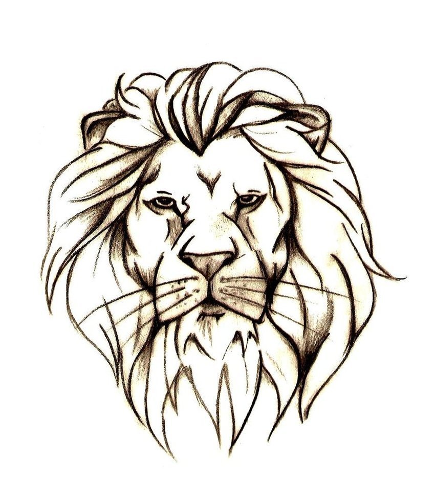 Голова Льва рисунок