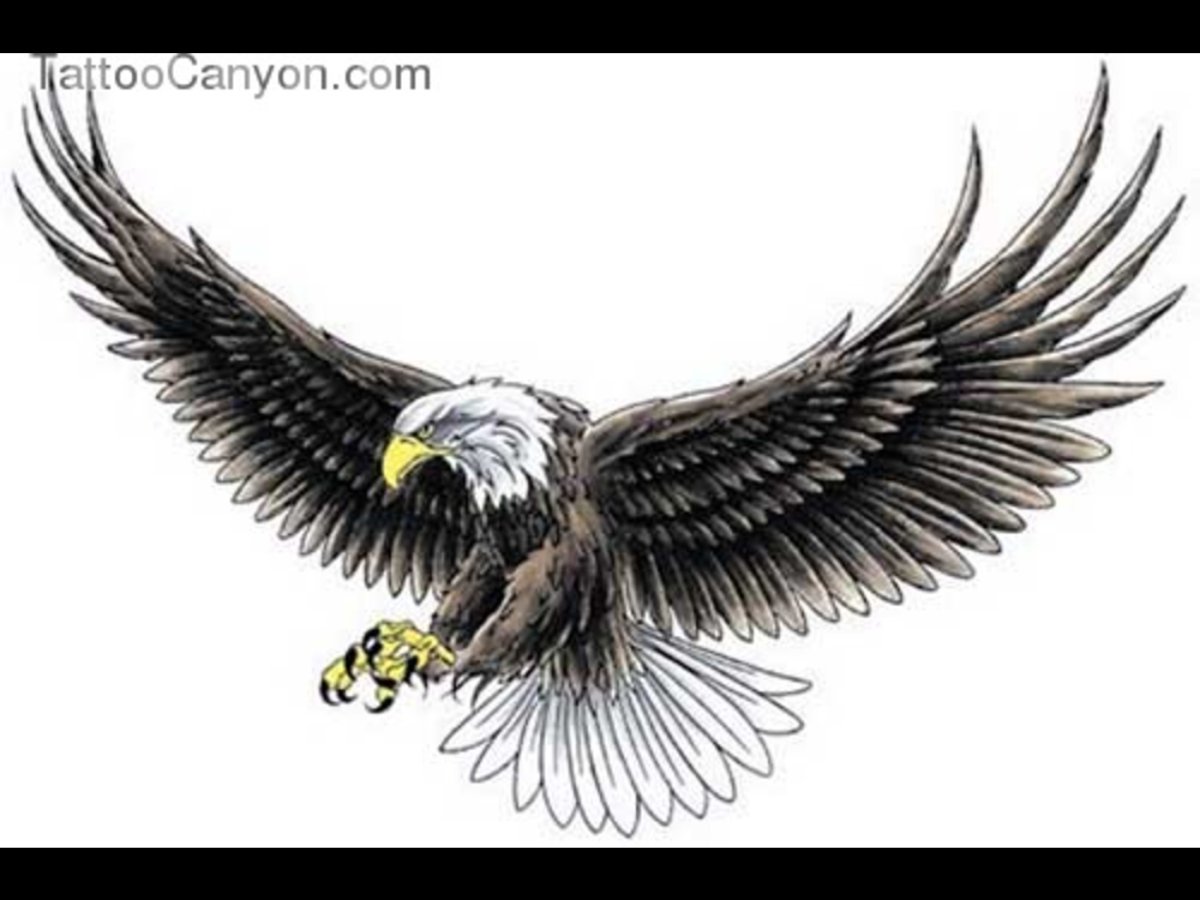 Орел с распахнутыми крыльями