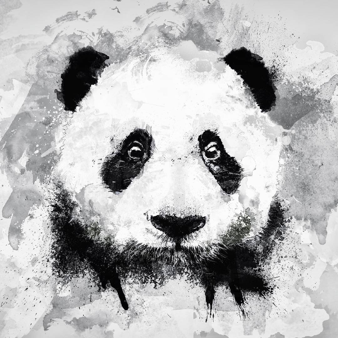 Панда аватарка