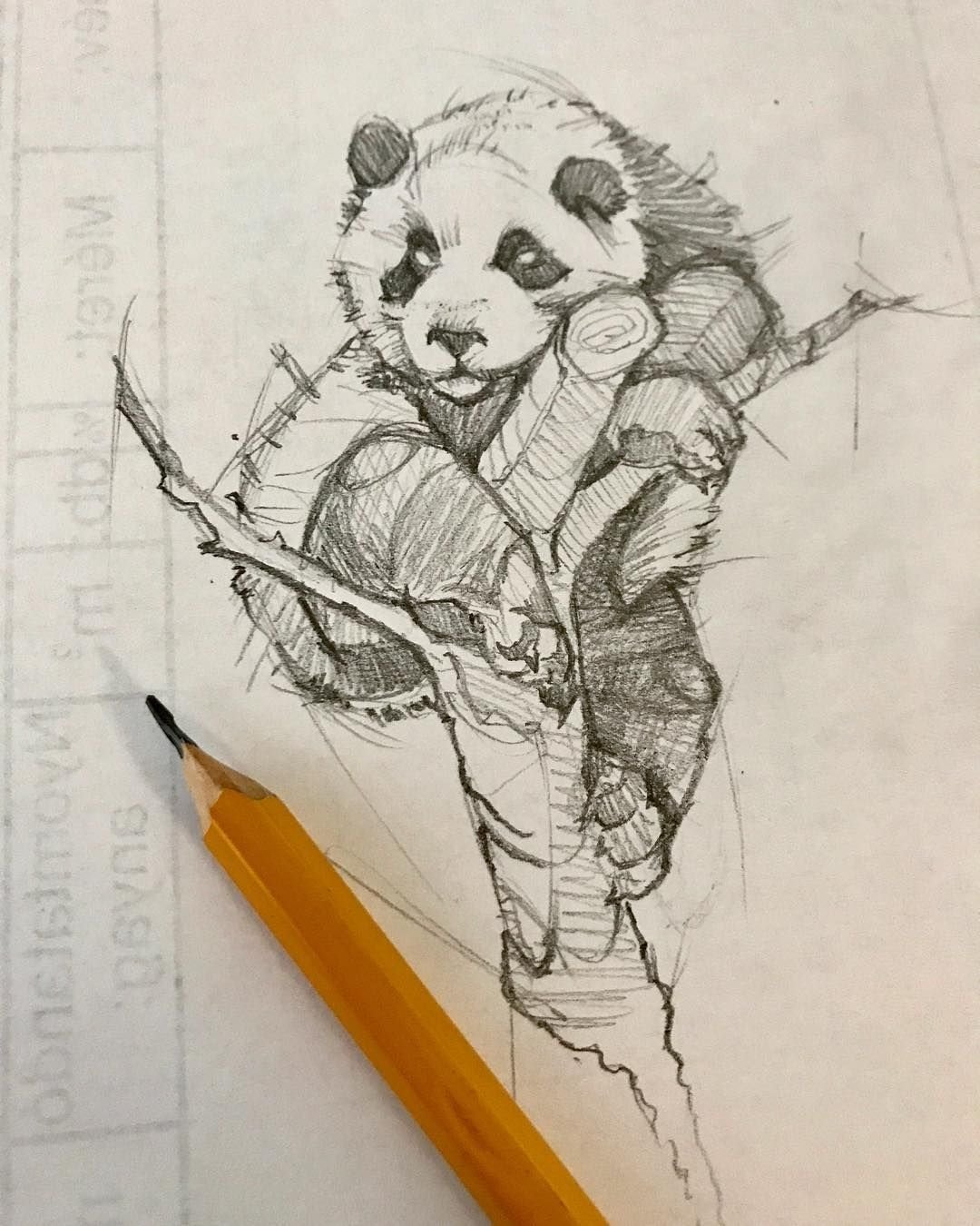 Панда рисунок набросок