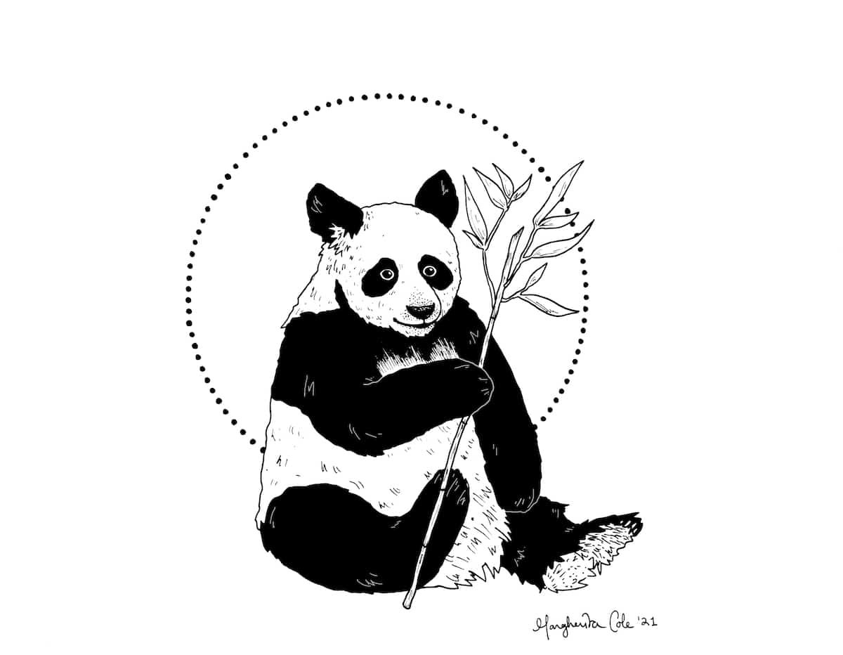 Панда скетч