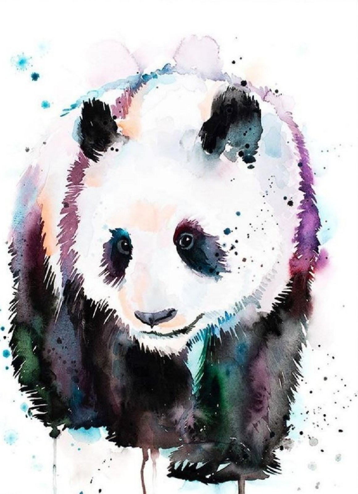 Картина акварель Панда