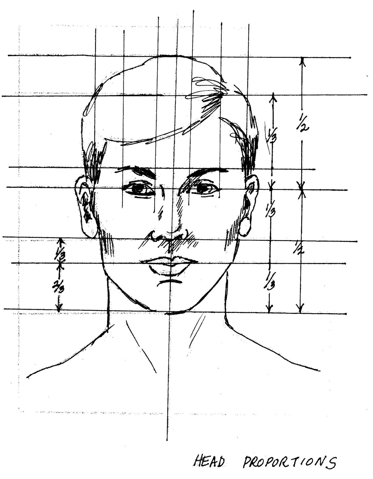 Пропорции портрета человека