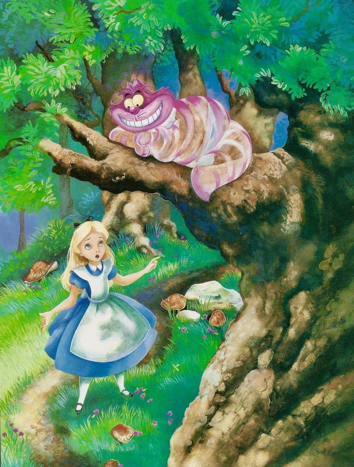 Алиса в стране чудес фото из сказки