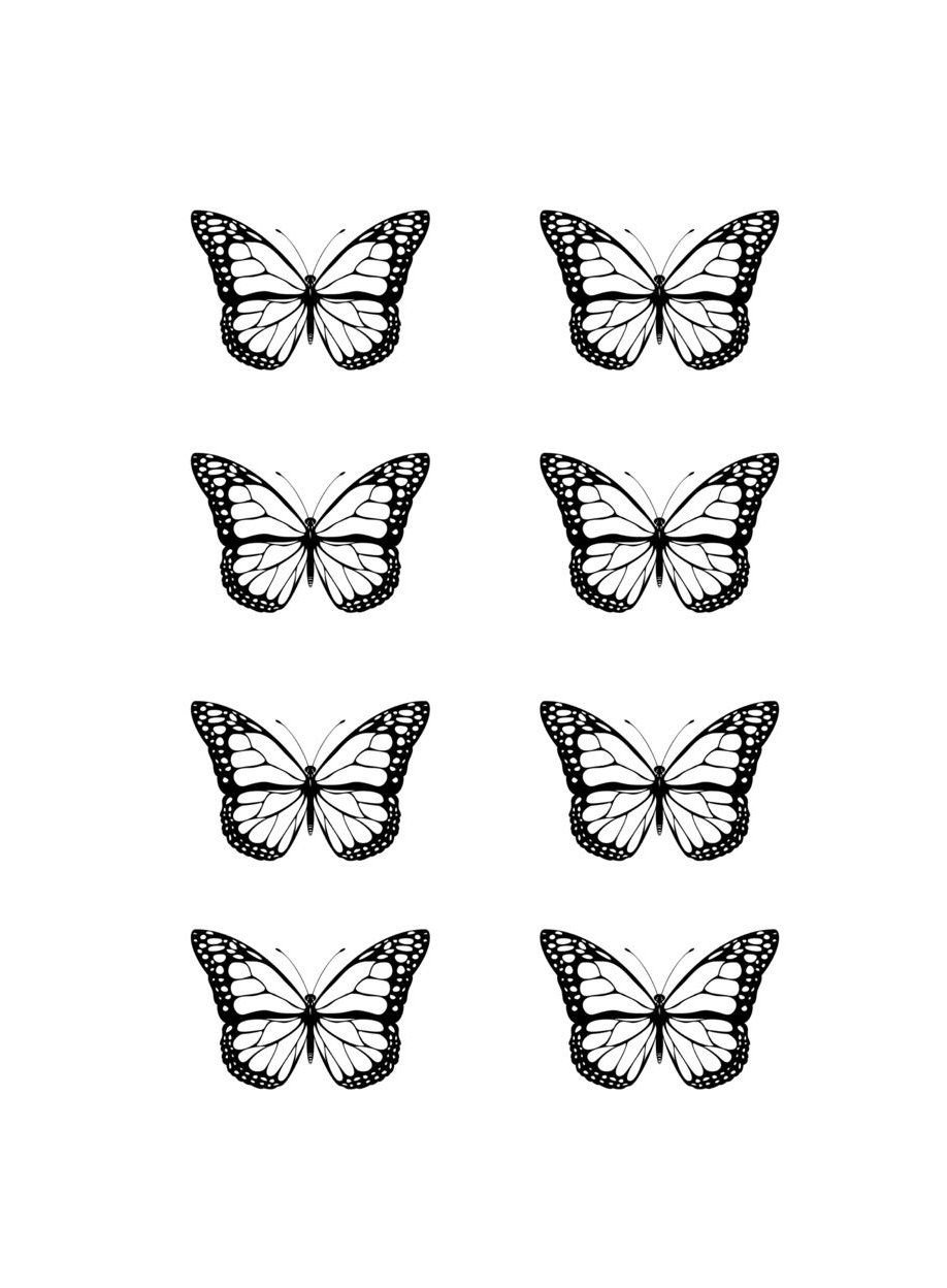 бабочки чб картинки