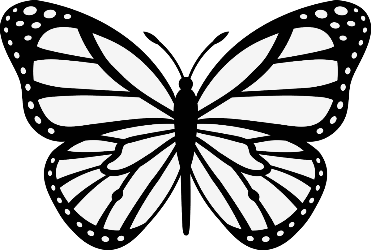 Шаблон бабочки. Трафареты бабочки. Бабочка рисунок. Бабочка шаблон для вырезания.