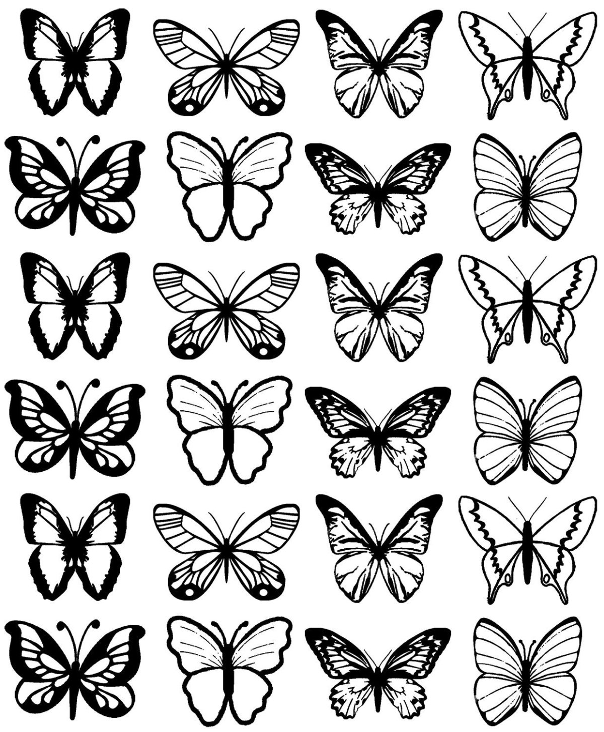 Бабочка черно белая