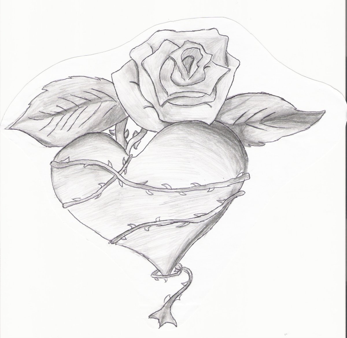 Картинки розы для срисовки