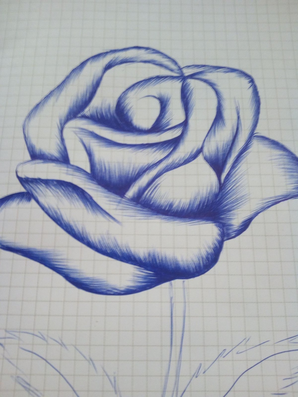 Роза рисунок ручкой небольшой