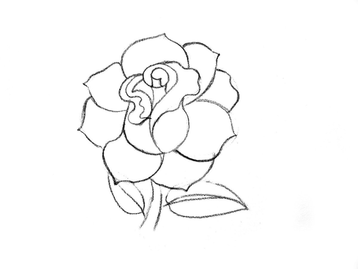 Рисунки карандашом для срисовки цветы розы