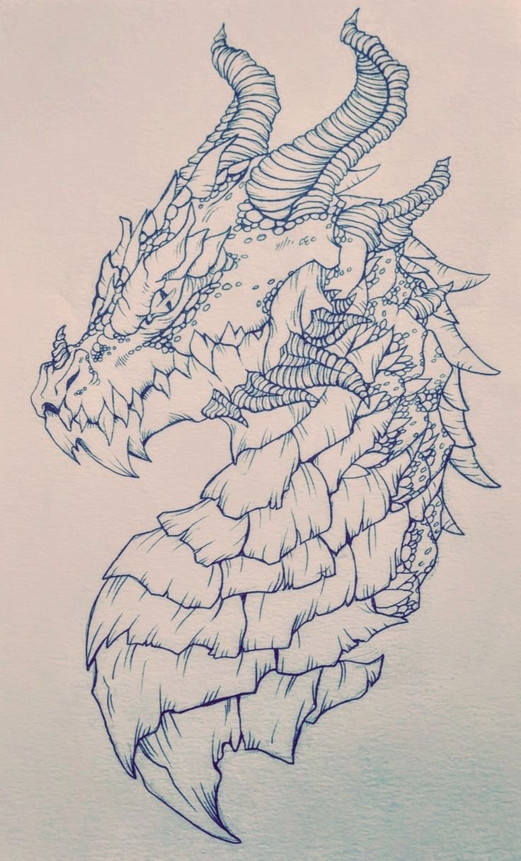 Набросок головы дракона