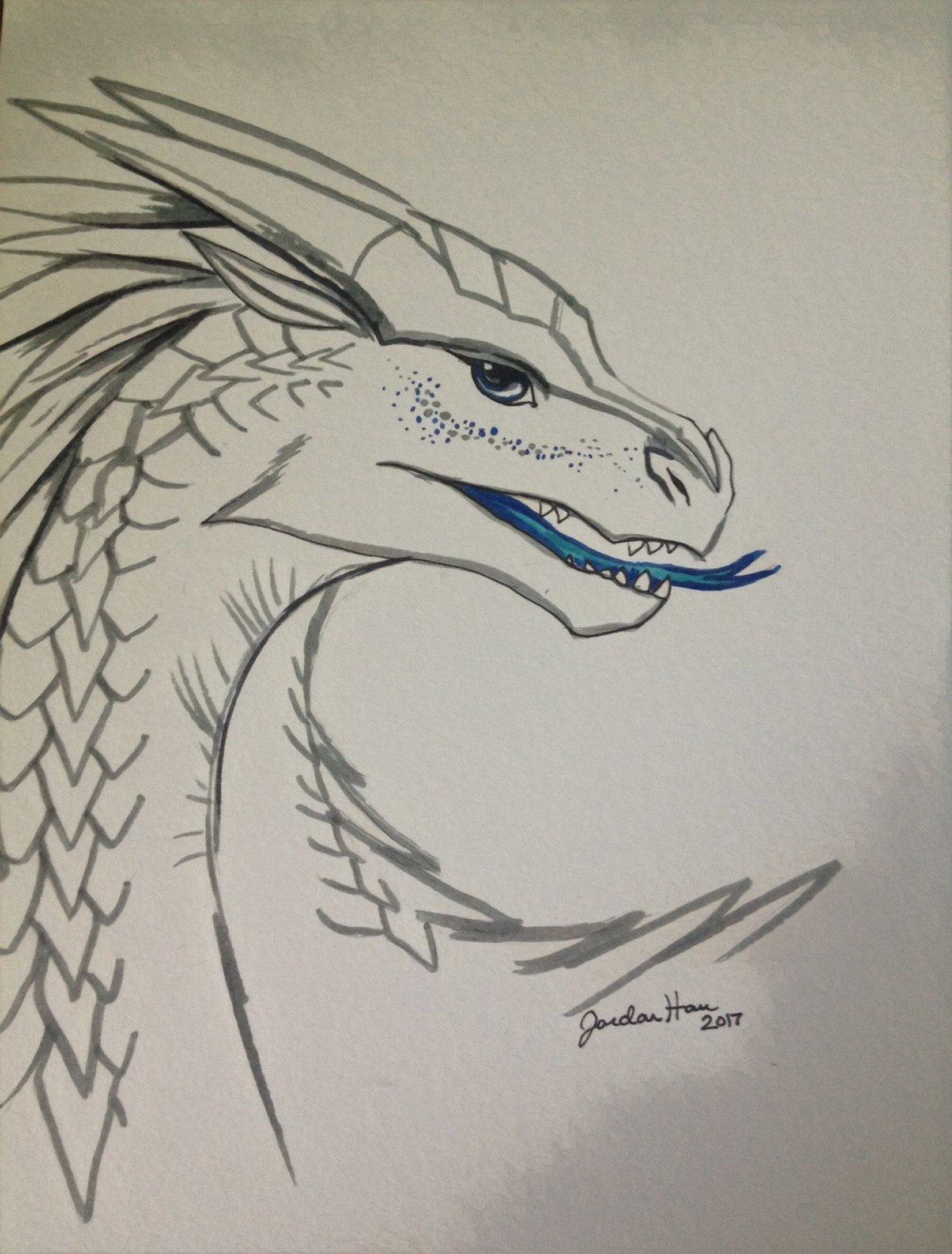 Рисунки для срисовки драконов крутые