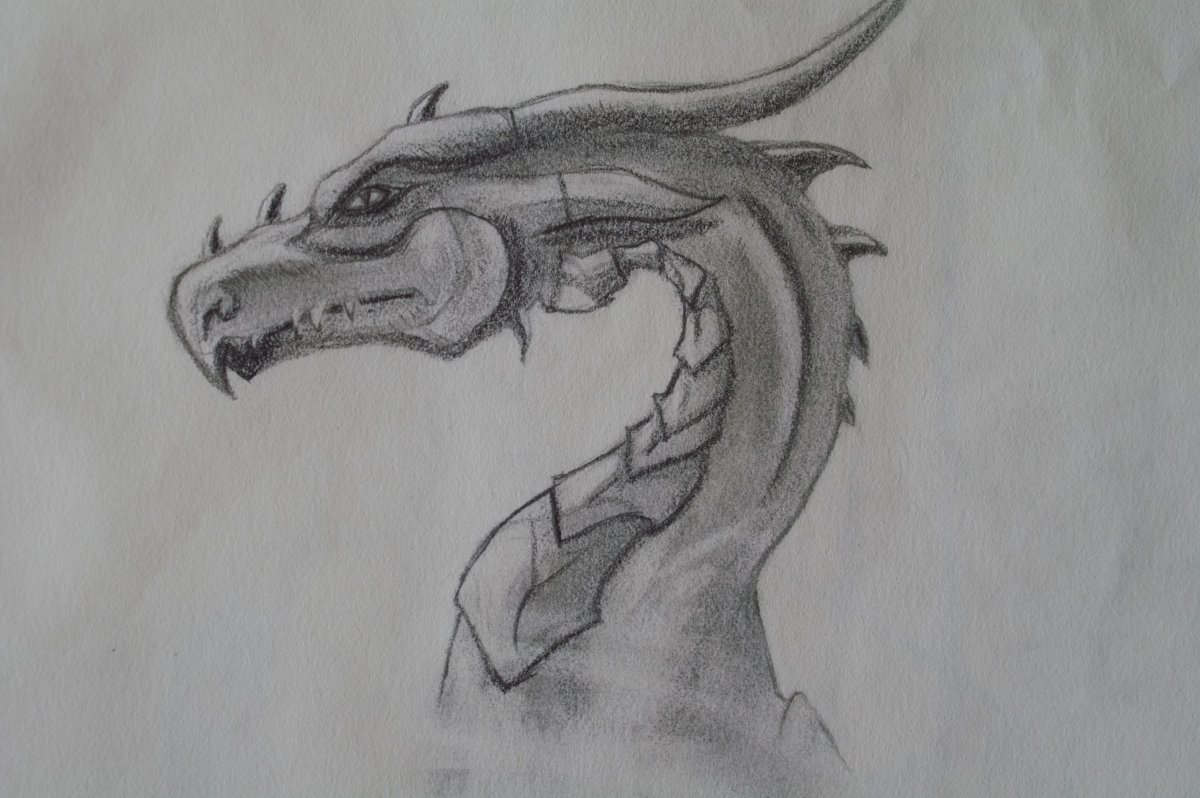 Голова дракона карандашом