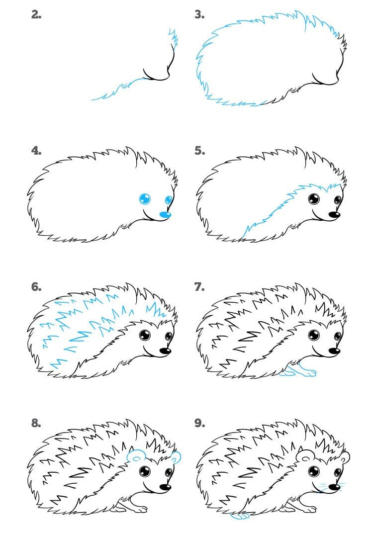 Рисунок ежа для срисовки