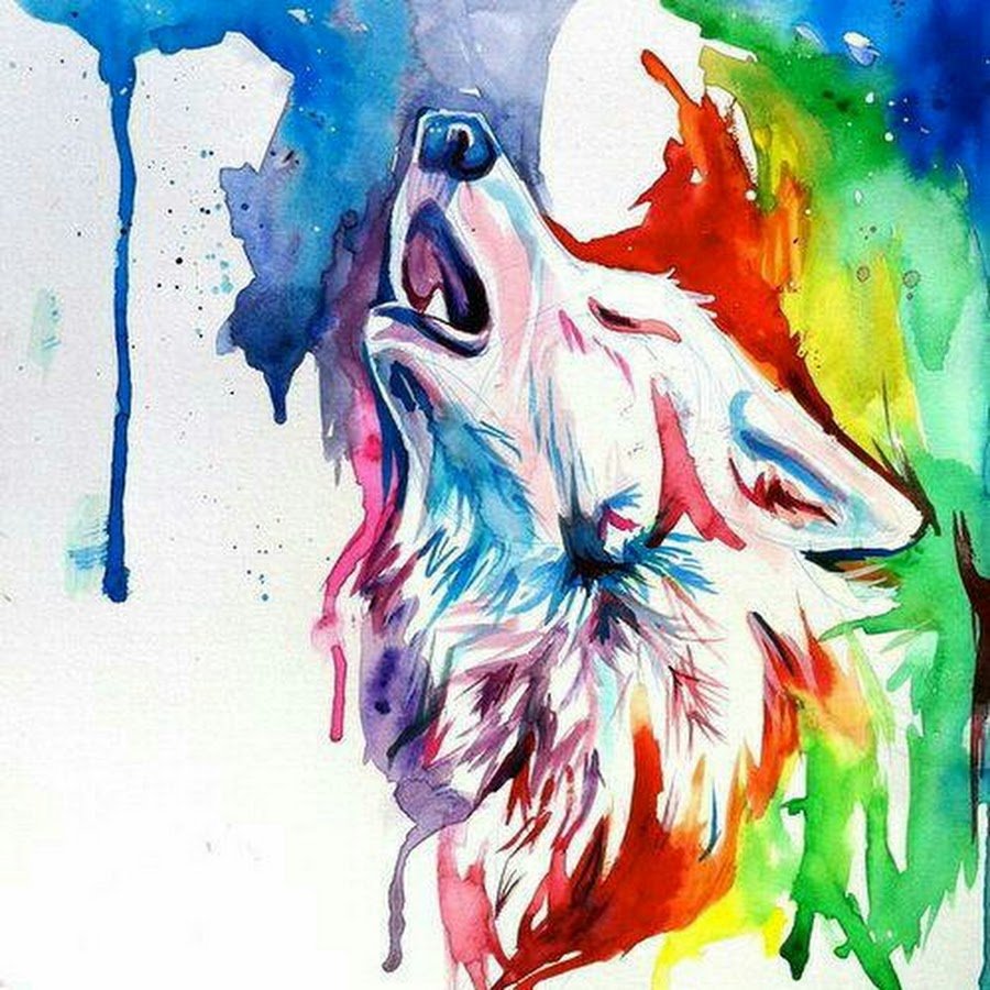 Волк красками