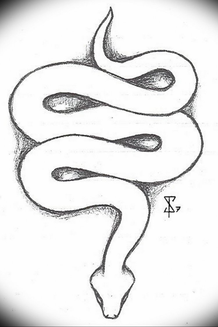 Рисунок змеи для срисовки легкие