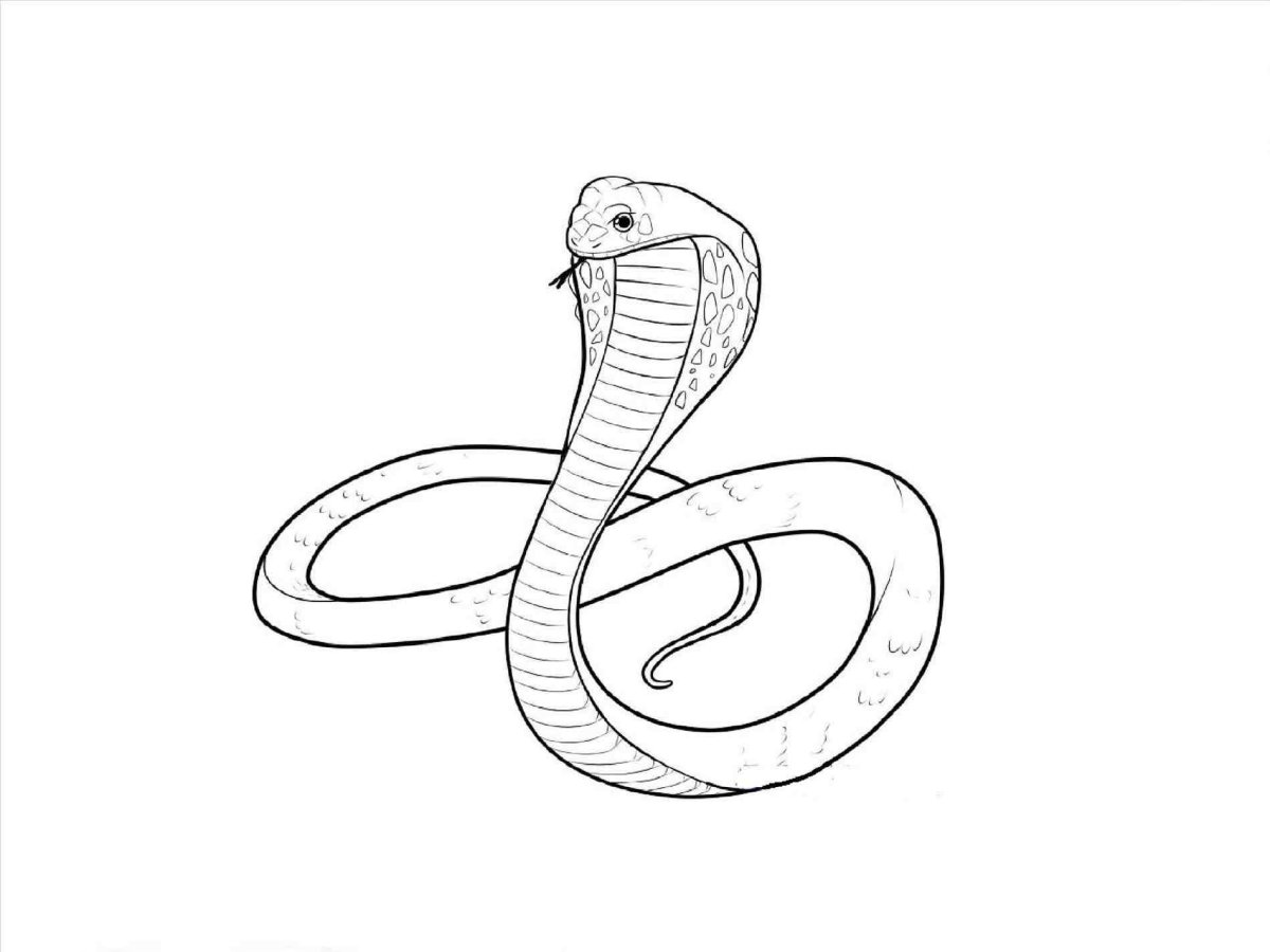 Картинки змеи для срисовки карандашом