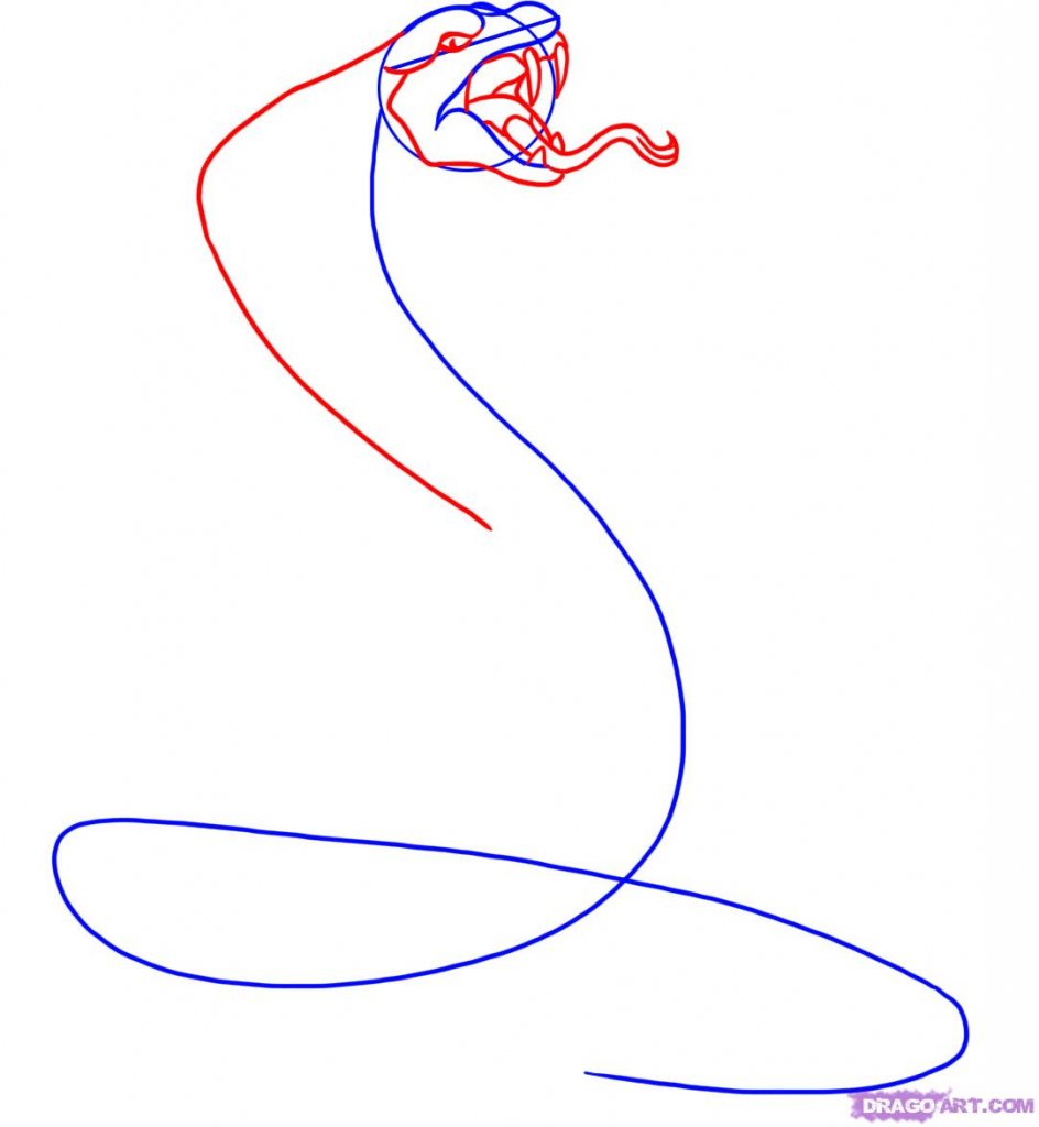 Пошаговое рисование змей