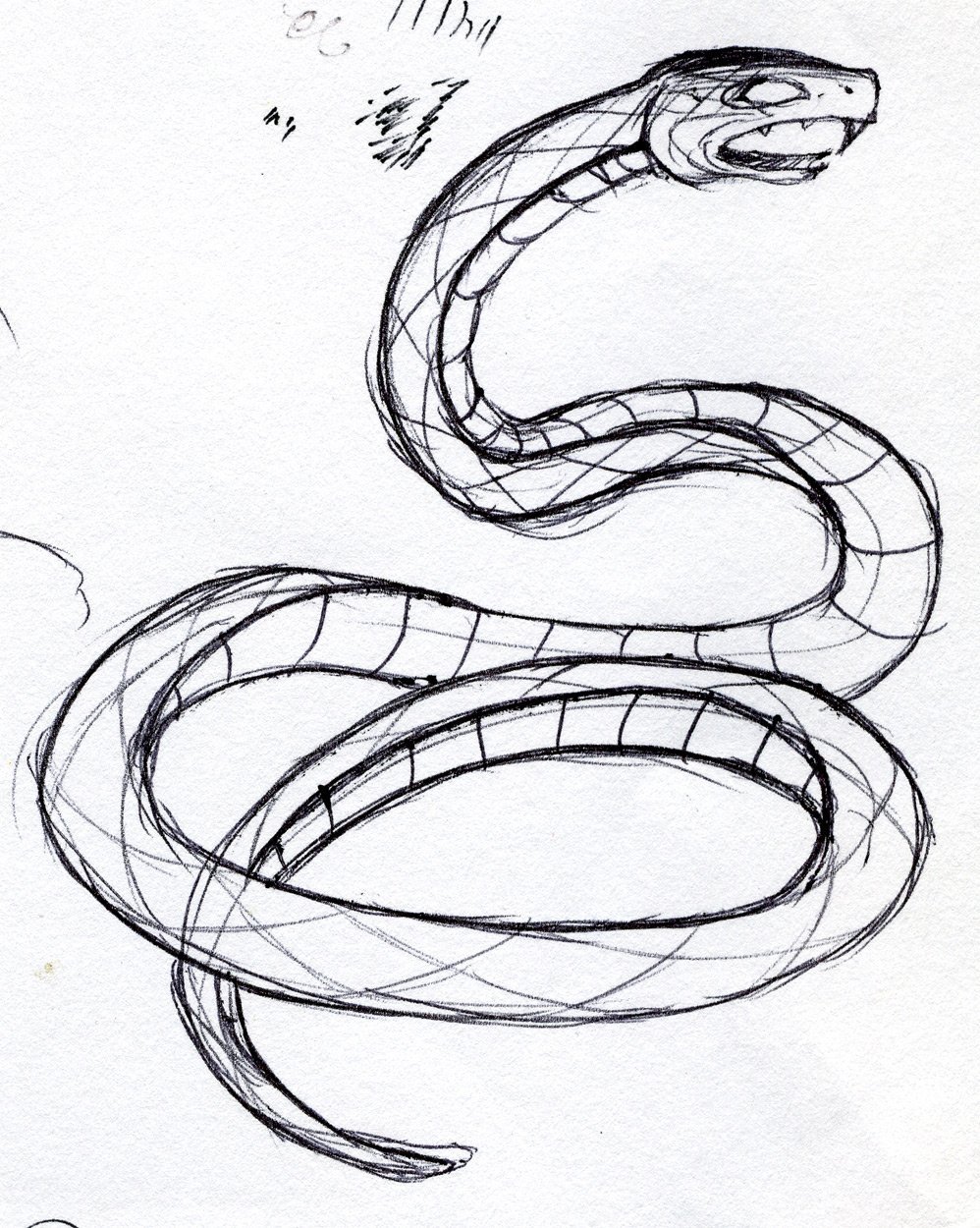 Змеи рисунки красивые