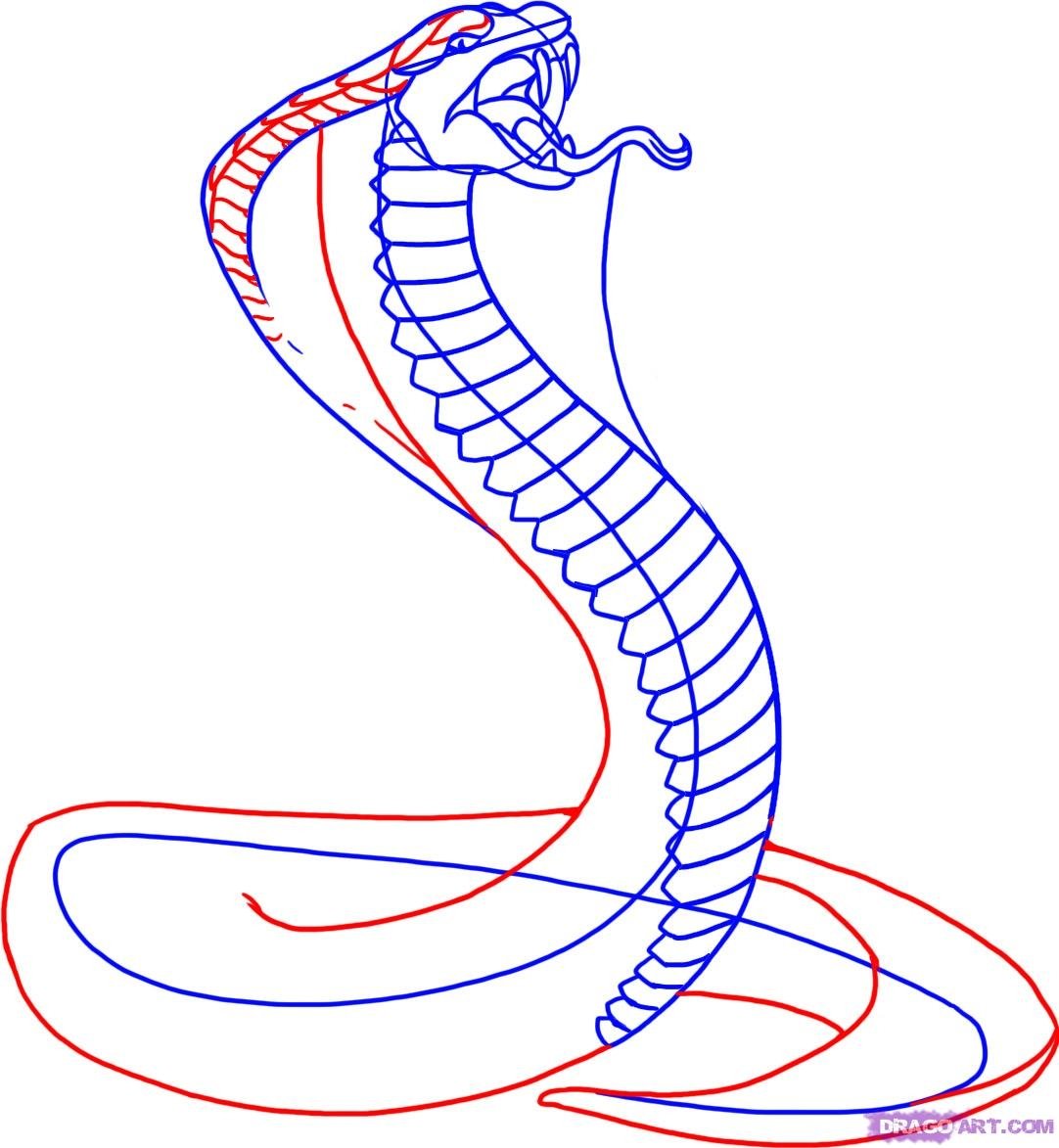 Рисунки для срисовки змея