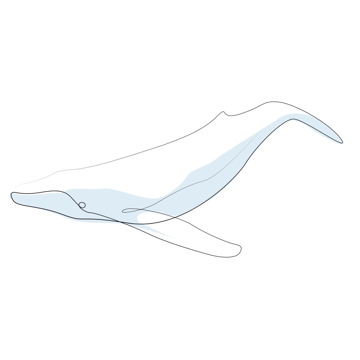 Синий кит рисунок карандашом