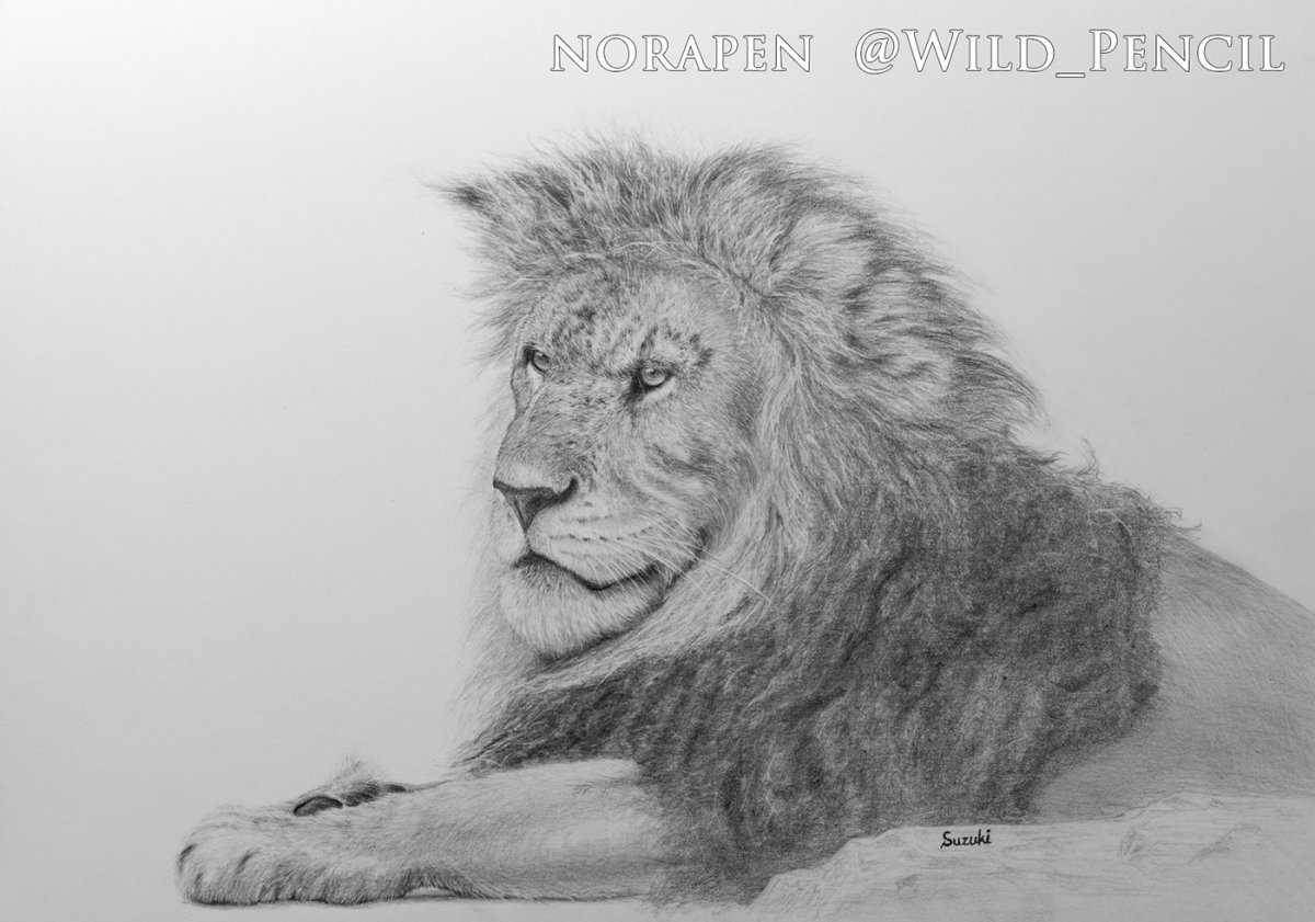 Рисунки простым карандашом Льва с тенями
