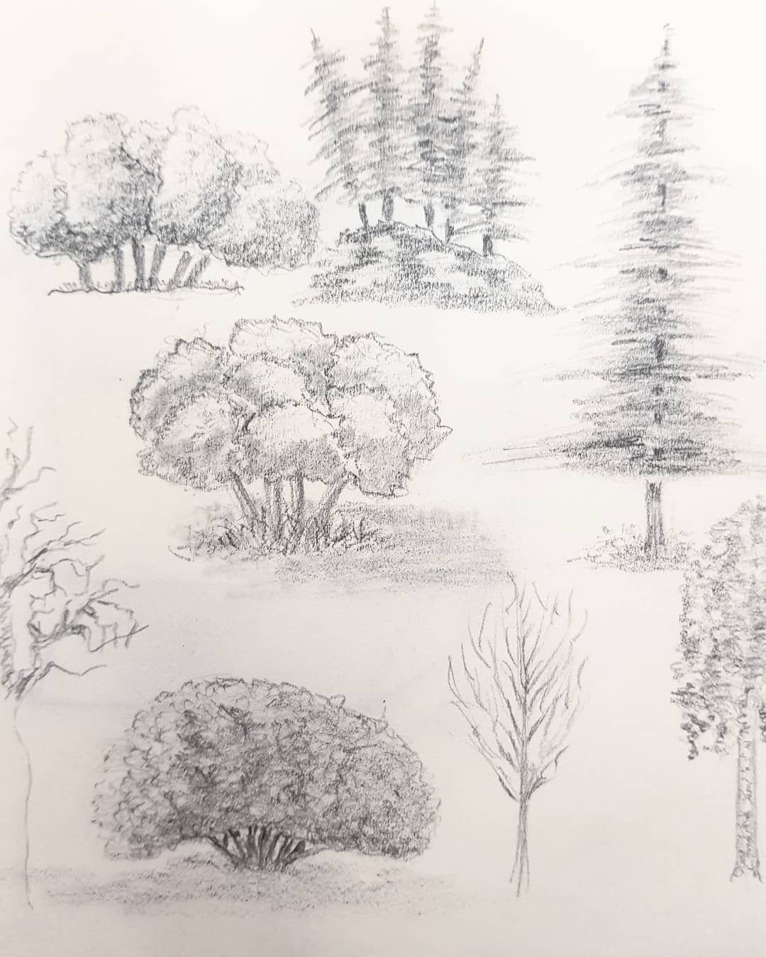 Рисование деревьев в далеке