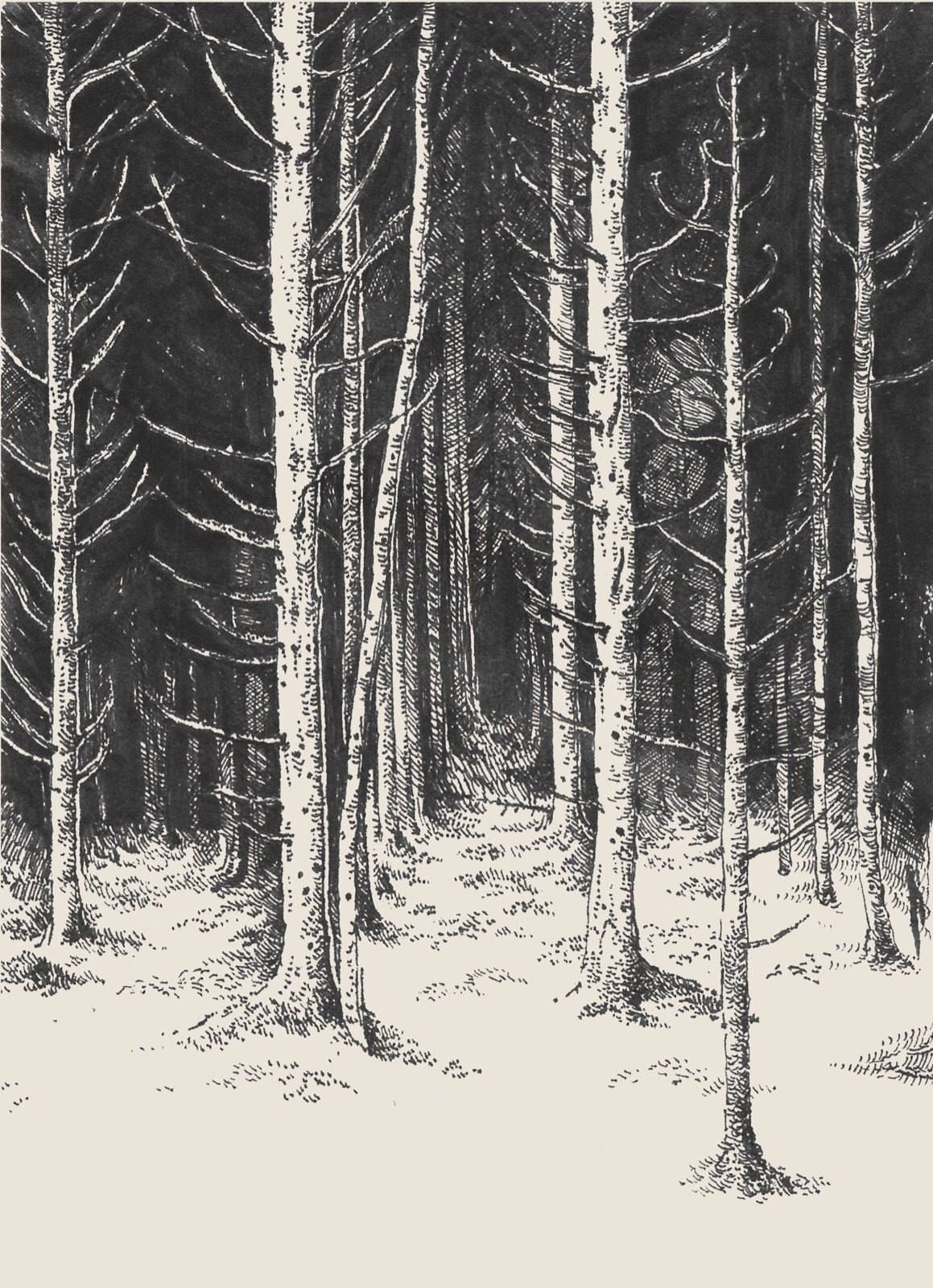 картинки леса нарисованный карандашом