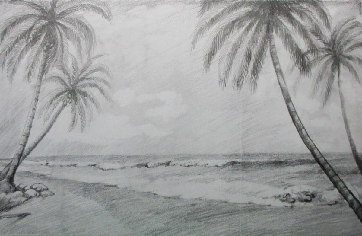 Пальмы и море простым карандашом