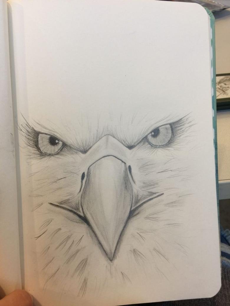 Орел карандашом