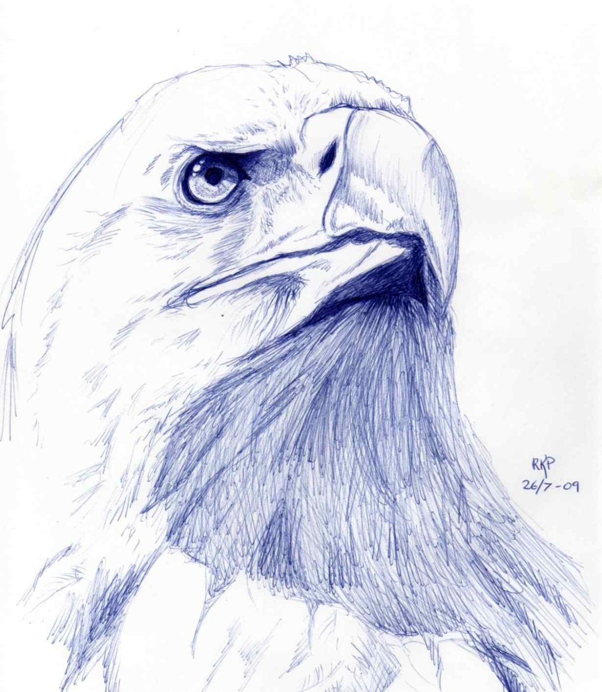 Рисовать орла карандашом