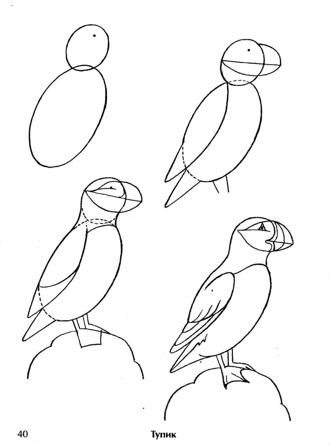 Картинки как рисовать птиц