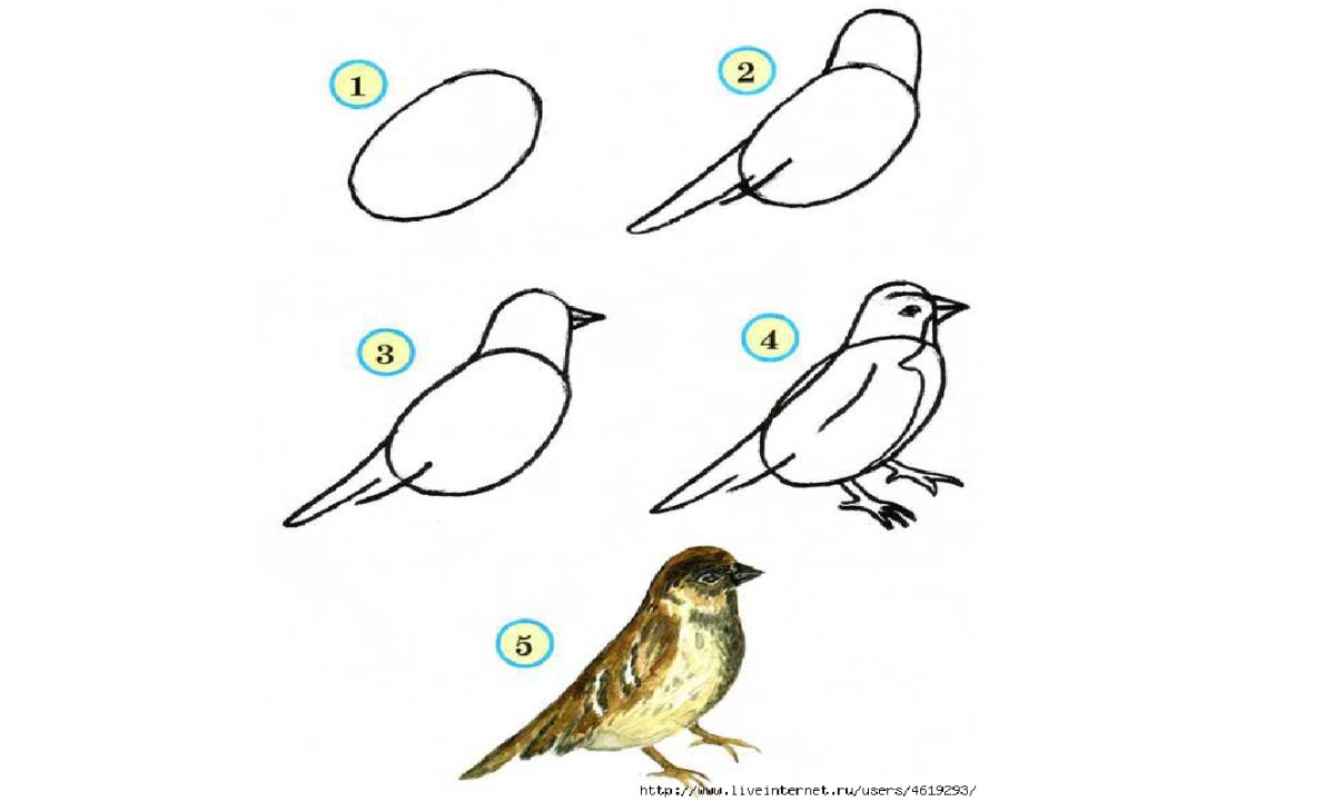 Воробей рисунок 3 класс