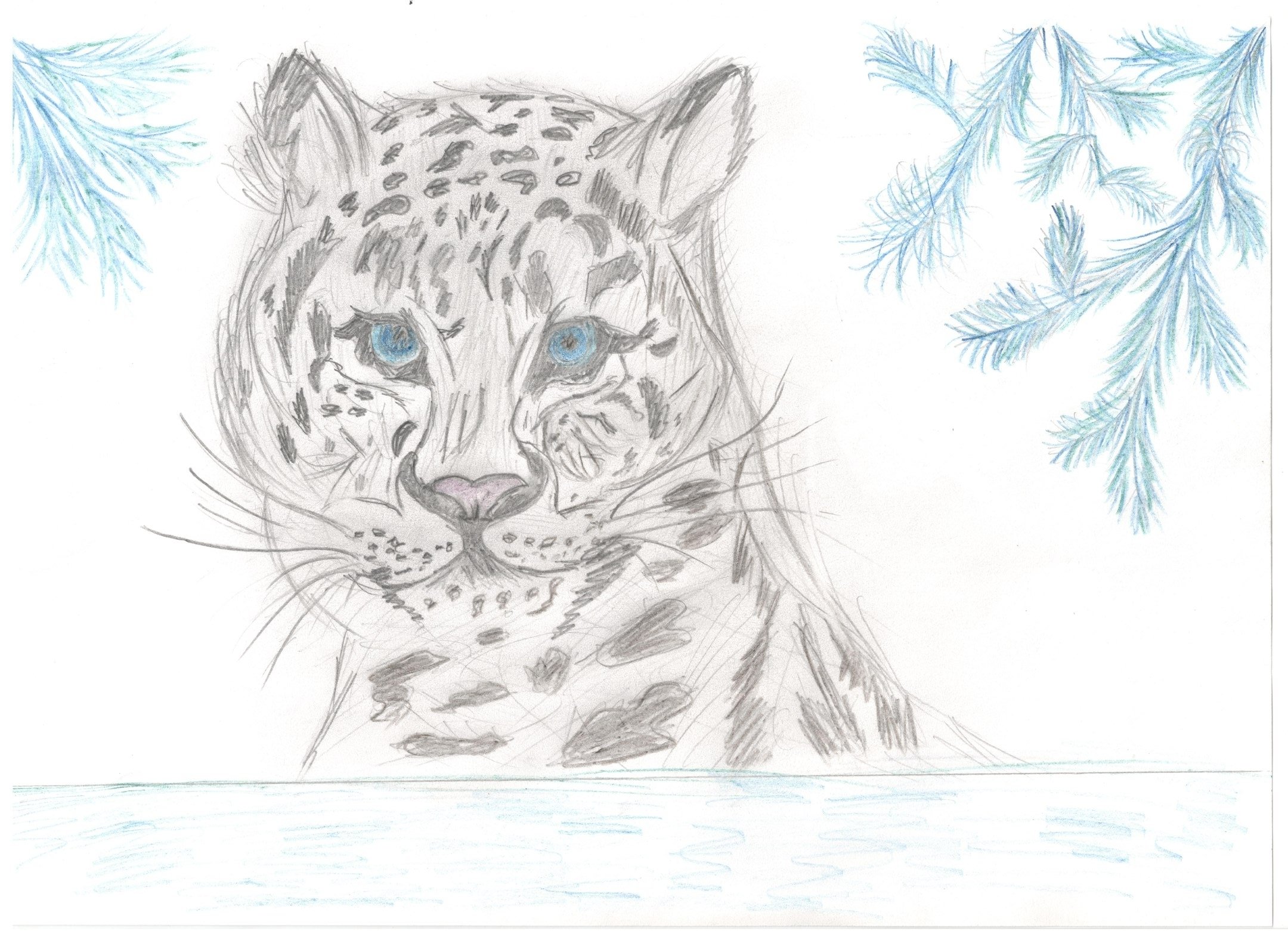 Рисунки снежного Барс животных из красной книги