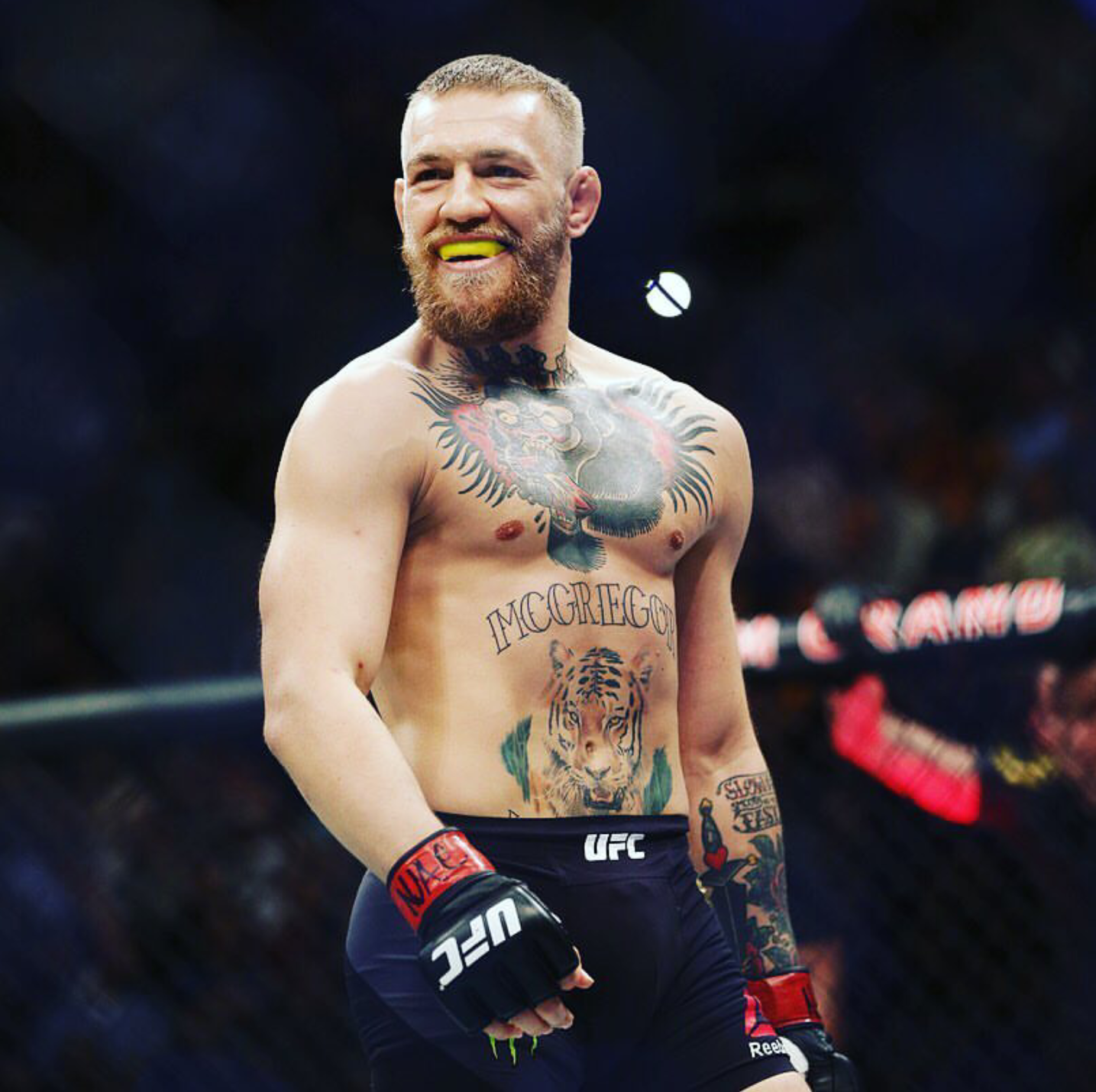 Ufc conor mcgregor