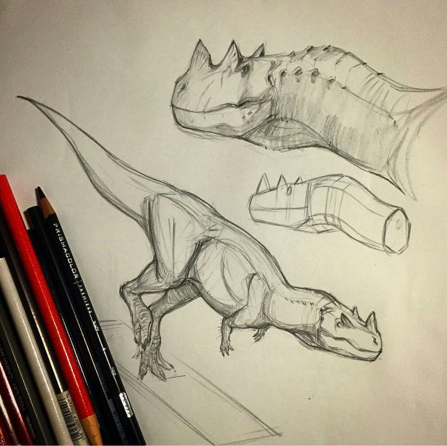 Анатомия динозавров для художников