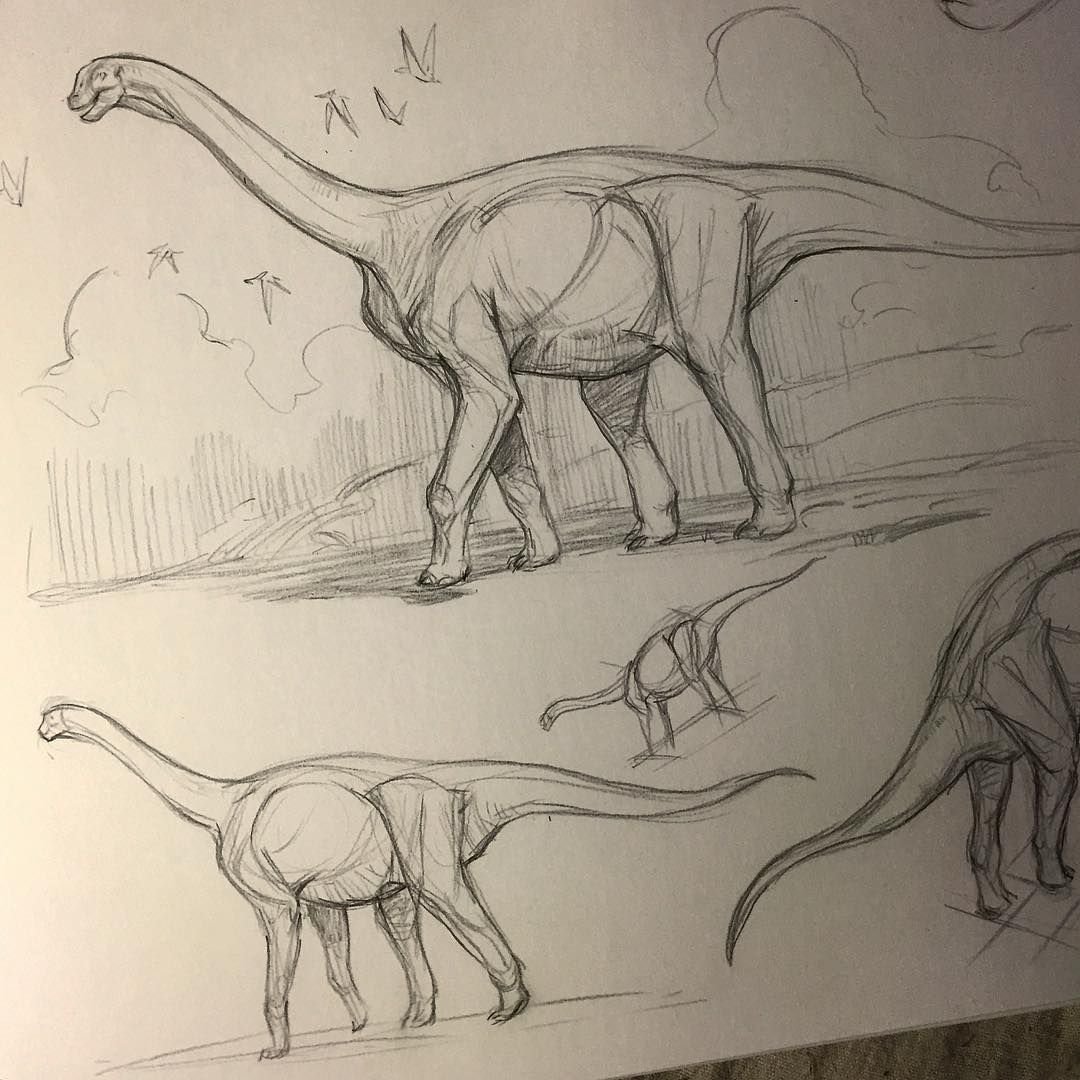 Анатомия динозавров для рисования