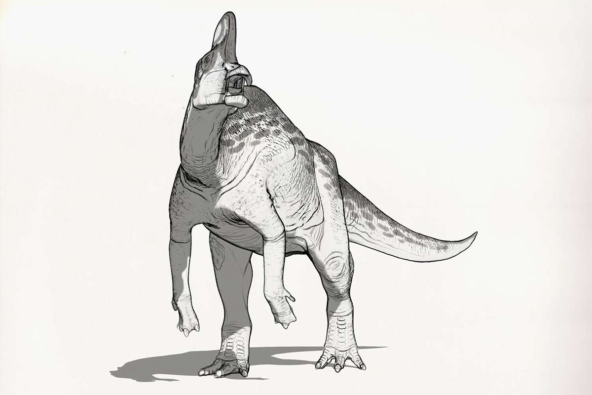 Тираннозавр скетч