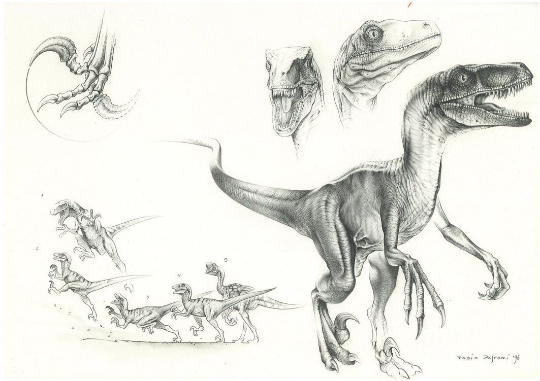 Velociraptor анатомия