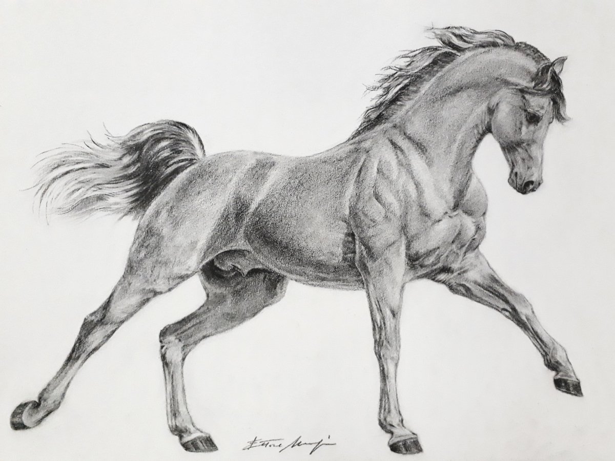 Лошадь на 2 ногах рисунок реалистично