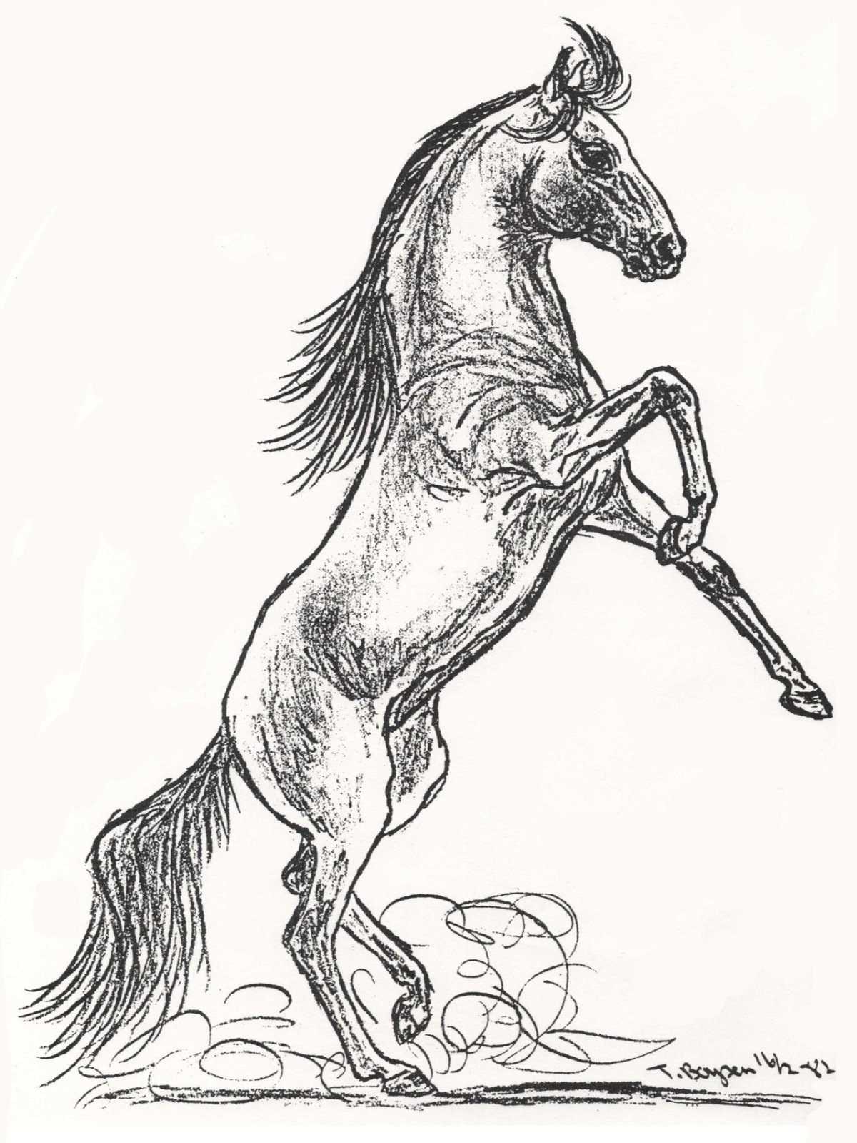 Лошадь на дыбах карандашом