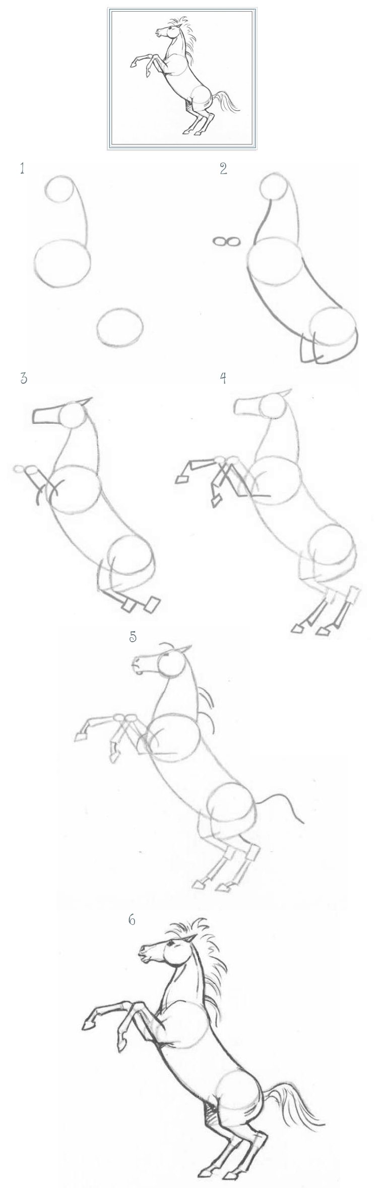 Конь юлий рисунок для срисовки