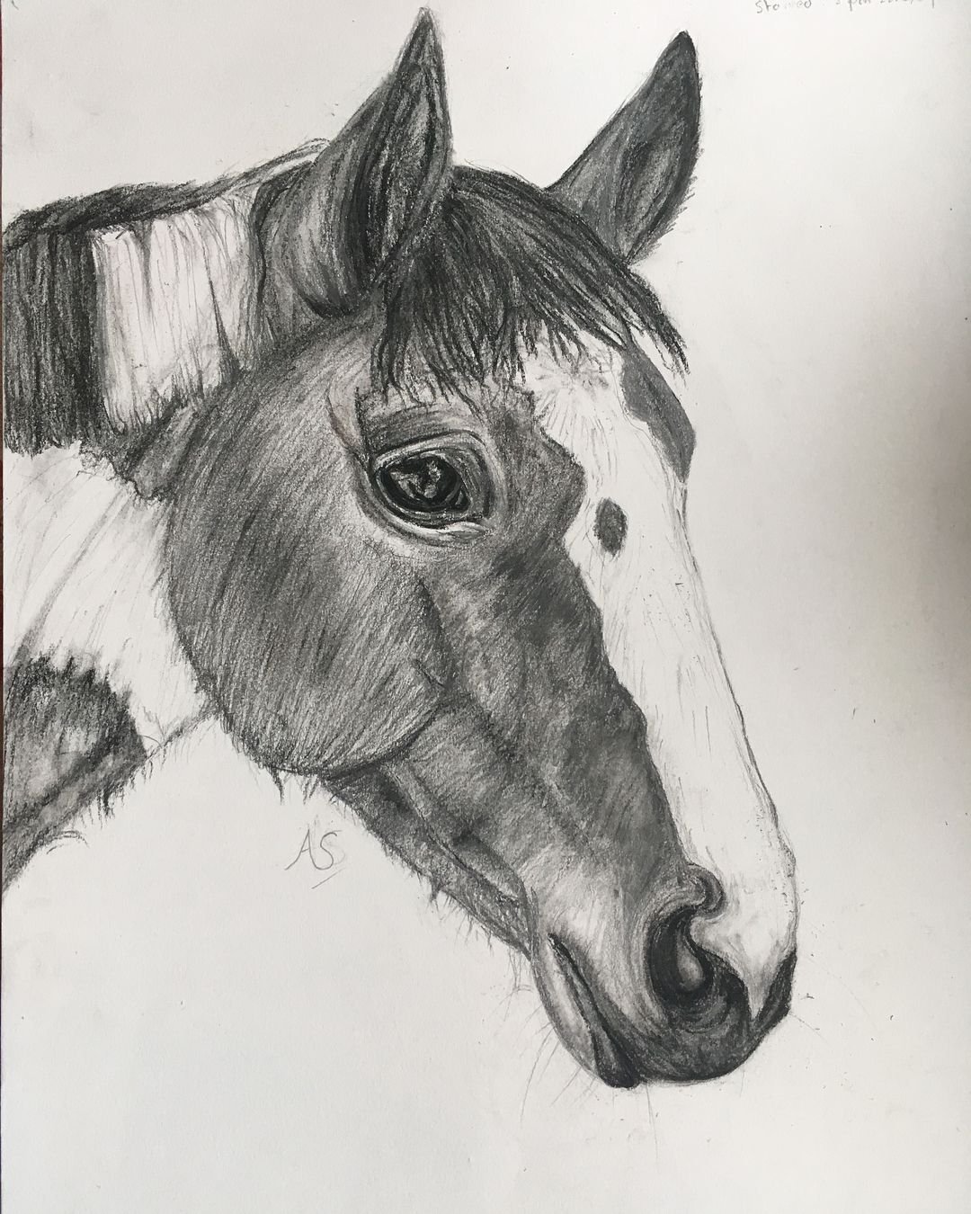 Рисунки лошадей ручкой
