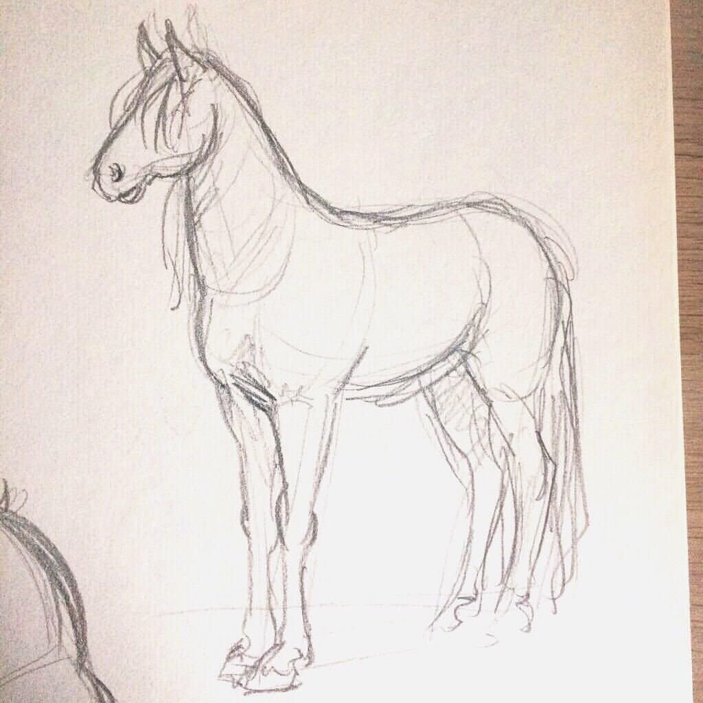 Лошадь рисунок легкий арт
