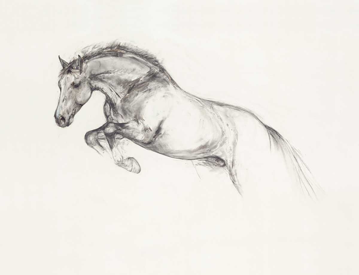 Лошадь лежит карандашом